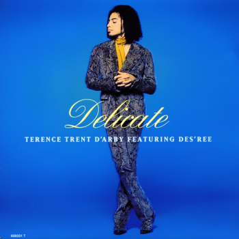 Обложка трека "Terence Trent D'Arby - Delicate"