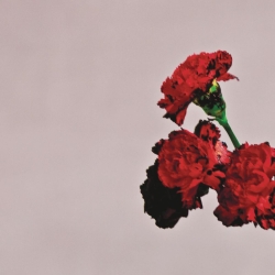 Обложка трека "John Legend - All of Me"